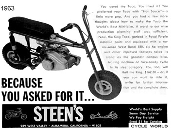 Steen's_ad